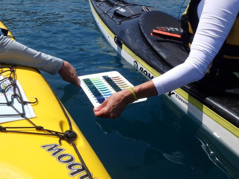 Kayakers measuring colour